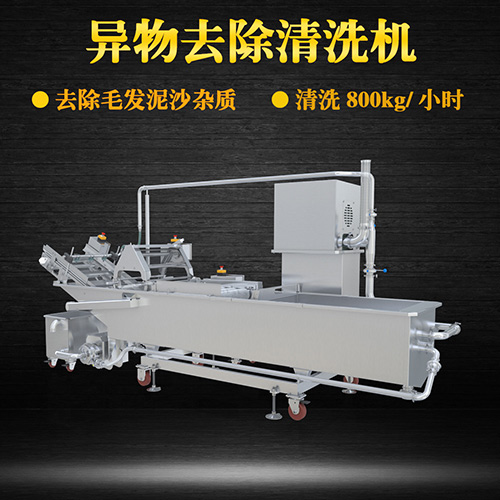 果蔬氣泡翻洗機(jī)，有效清洗，過(guò)濾泥沙
