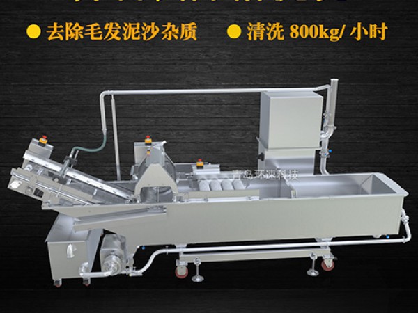 蔬菜清洗機(jī)，氣泡清洗，清洗800kg/小時(shí)