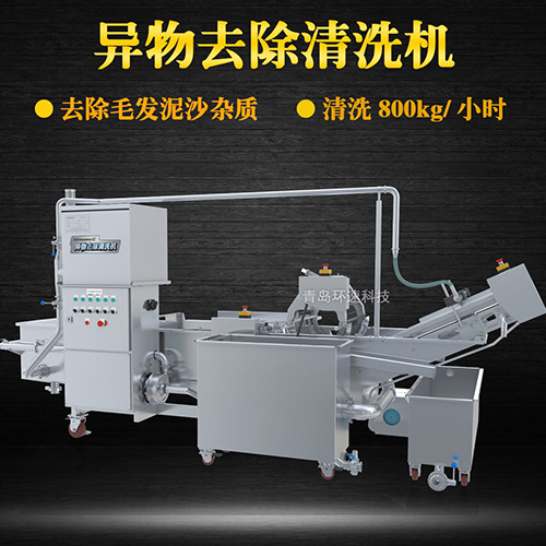 蔬菜清洗機(jī)，氣泡清洗，清洗800kg小時(shí)